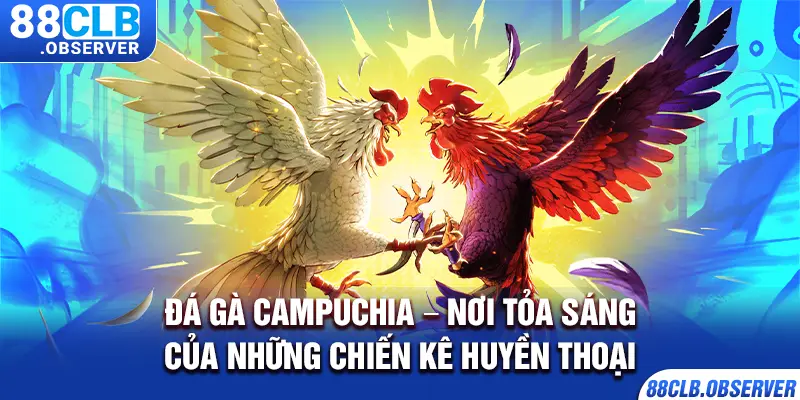 Đá Gà Campuchia – Nơi Tỏa Sáng Của Những Chiến Kê Huyền Thoại